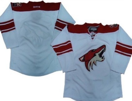 Phoenix Coyotes Blank White Jerseys,We sell and wholesale Phoenix Coyotes Blank White Jerseys on line form chian!