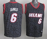 Miami Heat #6 LeBron James Black Leopard Print Fashion Jerseys,baseball caps,new era cap wholesale,wholesale hats