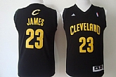 Youth Cleveland Cavaliers #23 LeBron James Black With Golden Jerseys
