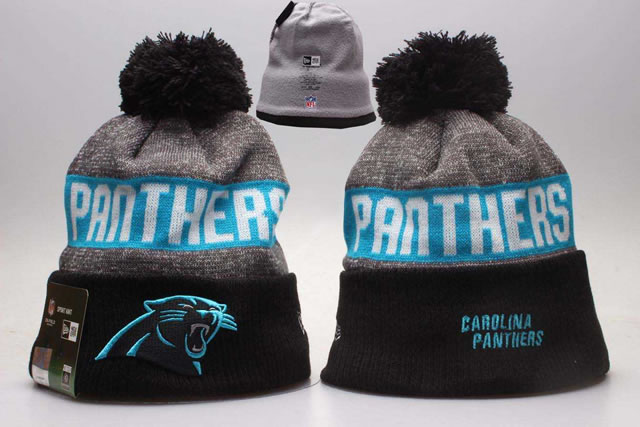 Panthers Team Logo Knit Hat,We sell and wholesale Panthers Team Logo Knit Hat on line form chian!