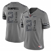 Ohio State Buckeyes 21 Parris Campbell Gray Shadow College Football Jersey DingZhi,baseball caps,new era cap wholesale,wholesale hats