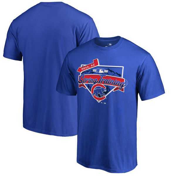 Chicago Cubs Fanatics Branded 2017 MLB Spring Training Logo T Shirt Royal,We sell and wholesale Chicago Cubs Fanatics Branded 2017 MLB Spring Training Logo T Shirt Royal on line form chian!